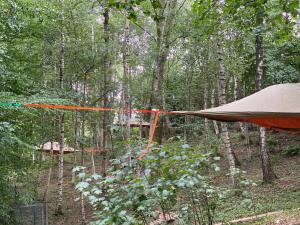 Baumzelte Mühlengrund的风筝挂在森林里,有帐篷