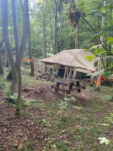 Baumzelte Mühlengrund的树林里的帐篷和野餐桌