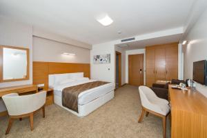 伊斯坦布尔Mıen Hotels的酒店客房设有床和客厅。