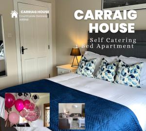 卡文Carraig House的一间卧室配有一张带蓝色棉被和气球的床。