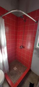 NeptuniaLakshmi的浴室设有红色瓷砖淋浴,里面装有猫