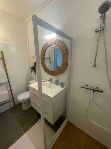 德赛La p’tite barque Antillaise的一间带水槽、镜子和卫生间的浴室