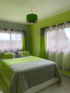 塔那那利佛Appartements Andrian Location的绿色卧室设有床和2个窗户