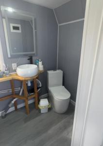博罗沃耶Афреем дом的一间带水槽、卫生间和镜子的浴室