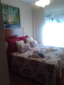 巴雷罗斯O Xuncal的一间卧室配有一张带鲜花毯子的床和窗户。