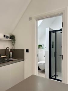 LlanymynechThe Loft Studio apartment - above detached new build garage的带白色橱柜的厨房和带卫生间的浴室。