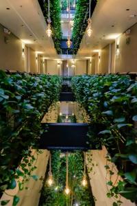 麦德林4 Sur Hotel的充满植物和灯光的房间