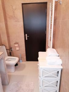 克卢日-纳波卡Queency Apartament cu gradina și parcare gratuita的一间带卫生间和黑色门的浴室