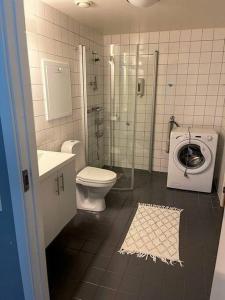 康斯博Koselig leilighet med et skritt unna skibakken!的浴室配有卫生间、淋浴和盥洗盆。