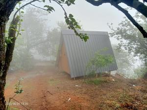 科代卡纳尔Croods Farm Stay - Kodaikanal的森林中雾中的一个小房子
