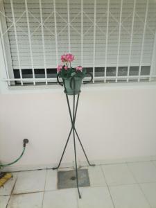 卡梅纳维洛拉Spitaki mou的窗前立着的花盆