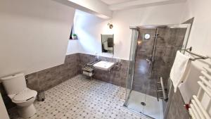 耶德利纳-兹德鲁伊Hotel Charlotta的带淋浴、卫生间和盥洗盆的浴室
