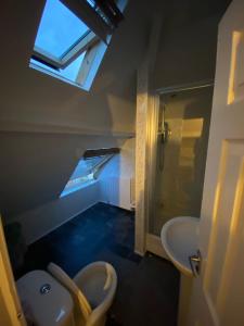 泰恩河畔纽卡斯尔Cosy Room in city centre的一间带卫生间、水槽和窗户的浴室