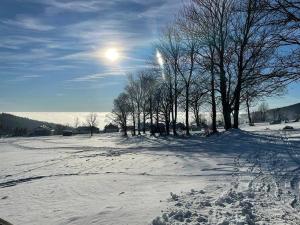 斯特拉兹内Chata VISTA Strážné的一片雪覆盖的田野,在天空中满是树木和太阳