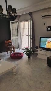 拉马萨S2 ain zaghwen nord la marsa的客厅配有平面电视和沙发。