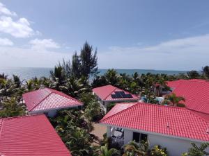 玛雅湾Ceiba Beach Resort的享有红色屋顶的度假村空中景致