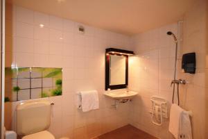佩萨克普瑞米尔波尔多南佩萨克贝索尔经典酒店的一间带卫生间和水槽的浴室