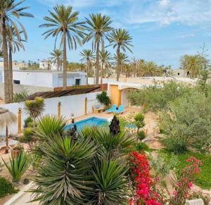 Al MaqārisahMille & une nuit的一个带游泳池和棕榈树的度假村
