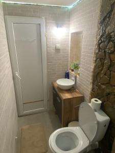 沃莱尼德蒙泰Casa cu șindrilă的浴室配有白色卫生间和盥洗盆。