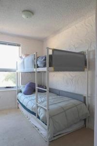 格莱内尔格Sunsets At Glenelg的一间卧室设有两张双层床和一扇窗户。
