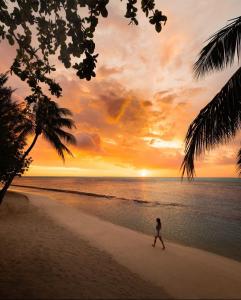 莫雷阿Moorea Island Beach Hotel的日落时在海滩上散步的人