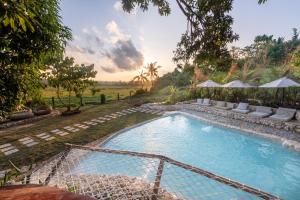 卢纳将军城The Hillside Resort Siargao的庭院内的游泳池,设有休息室和遮阳伞