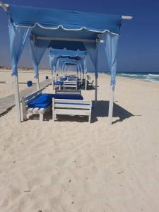 亚历山大North coast sedra resort villa قريه سيدرا الساحل الشمالي的沙滩上的凉亭