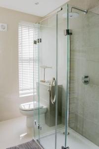 克利索普斯Seafront Apartment with Stunning Views的一间带卫生间和玻璃淋浴间的浴室