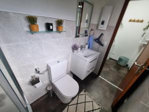 DockweilerFerienhaus Eifel Nature Dream的浴室配有白色卫生间和盥洗盆。