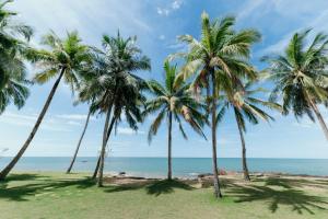 蔻立Khaolak Laguna Resort的海滩上的一棵棕榈树