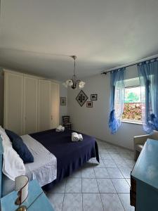 蓬扎Casa Talento的一间卧室设有蓝色的床和窗户。