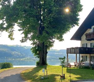 Oberhofen am IrrseeRoiderhof Irrsee的路边有房子的树