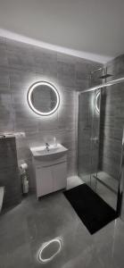 詹塔尔Apartament Bursztynowy的一间带水槽、淋浴和镜子的浴室