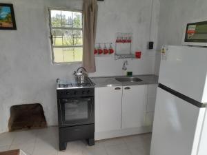 萨尔托Lavanda Casa de Campo的厨房配有炉灶、水槽和冰箱。
