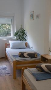 莱斯科瓦茨Apartmani Bubamara Leskovac的一间卧室设有两张单人床和一个窗户。