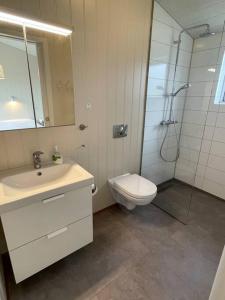霍尔斯沃德吕尔Stunning house - amazing scenery的浴室配有卫生间、盥洗盆和淋浴。