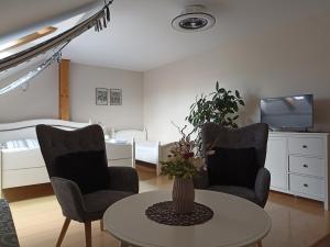 利托米什尔波扎西利托米什尔旅馆的客厅配有两把椅子和一张桌子