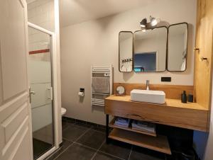 圣普里瓦达利耶克洛斯红石酒店的一间带水槽和两面镜子的浴室