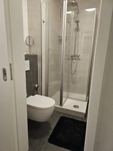 汉诺威City Appartement 1 Hannover Altstadt的带淋浴、卫生间和盥洗盆的浴室