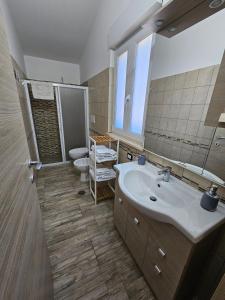 坎波巴索Villa Center appartamenti nel verde in città的一间带水槽、卫生间和镜子的浴室
