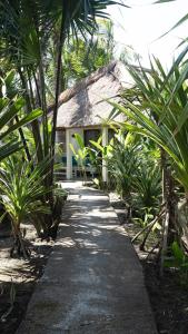 塞隆贝拉纳克Tiki Boutique Hotel Lombok的棕榈树屋前的小径