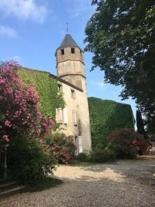 特雷布Château sur le Canal du midi proche de Carcassonne的一座常春藤覆盖的建筑,上面有一座塔