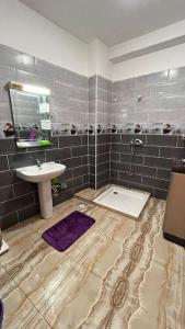 贝贾亚YEMMA GOURAYA LOFT的一间带水槽、淋浴和镜子的浴室