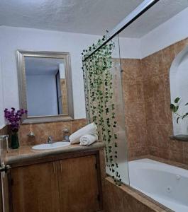 库埃纳瓦卡Hermosa casa en Cuernavaca cerca de los mejores restaurantes y plazas的带淋浴、盥洗盆和浴缸的浴室
