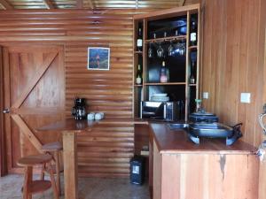 奎波斯城Esquipulas Rainforest的厨房设有木墙和带微波炉的台面。
