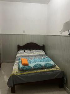 福尔摩沙Mono ambiente céntrico Formosa的一张位于一个房间的床,上面有橙色枕头