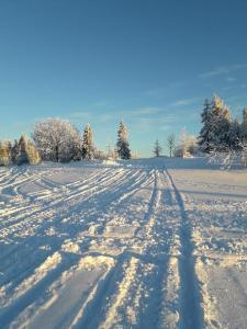 SólStara chałpa oźna的雪地里覆盖着雪地,有雪地的轨道