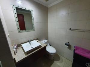 瓜亚基尔Apartamento-suite en la mejor zona de Guayaquil的一间带水槽、卫生间和镜子的浴室