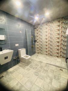 埃尔比勒Motel Victoria Sky的一间带卫生间和水槽的浴室