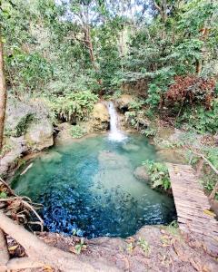 万加普Hars Garden Sumba的森林中带瀑布的水池
